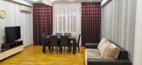Boulevard view spacious apartment in Baku